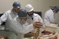 Rabbis kashering meat
